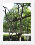 Dierentuin Burgers  Zoo 011 * 2736 x 3648 * (6.65MB)
